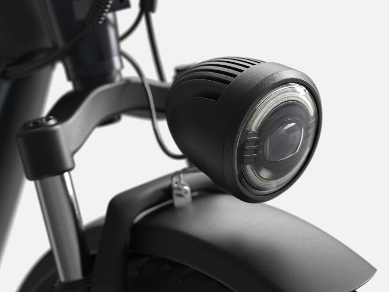 PUCKIPUPPY All-Terrain Electric Trike – Balance, Comfort & Performance