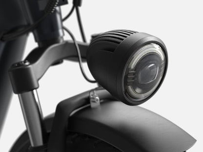 PUCKIPUPPY All-Terrain Electric Trike – Balance, Comfort & Performance