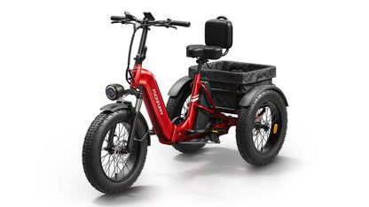 PUCKIPUPPY All-Terrain Electric Trike – Balance, Comfort & Performance
