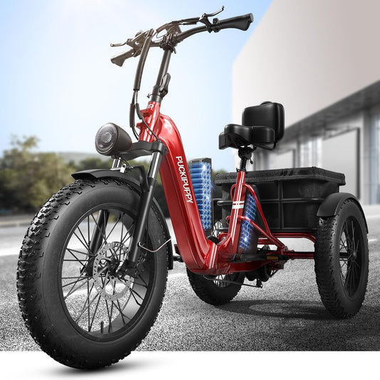 PUCKIPUPPY All-Terrain Electric Trike – Balance, Comfort & Performance